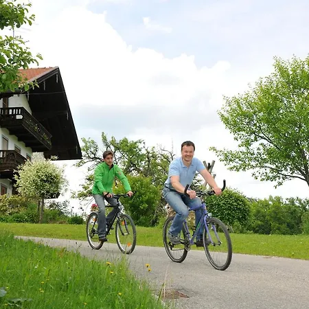 Hochgallinger Hof - Der Reiterhof Fuer Gross Und Klein Siegsdorf